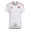 Officiële Voetbalshirt Wales Uit WK 2022 - Heren